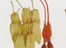 點(diǎn)擊查看詳細(xì)信息<br>標(biāo)題：取氣樣球膽 閱讀次數(shù)：121